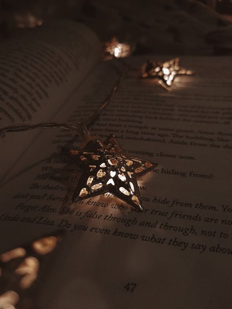 Dark academia book stars brown light cozy aesthetic pinterest Winter Academia Aesthetic, Dark Academia Icons, Dark Academia Christmas, Reading Cozy, Guy And Girl, Dark Academia Book, 00s Mode, Dark Academia Wallpaper, Christmas Reading