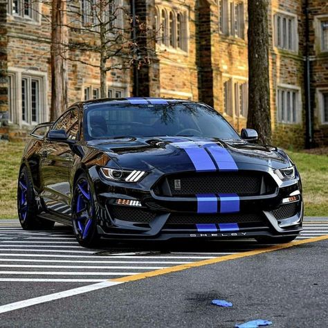 Mustang Car Aesthetic, Mustang Gt 350, Roadster Car, Ford Mustang Shelby Gt, Tokyo Drift Cars, Mustang Car, Mustang Gt500, Aesthetic Cool, Ford Mustang Car