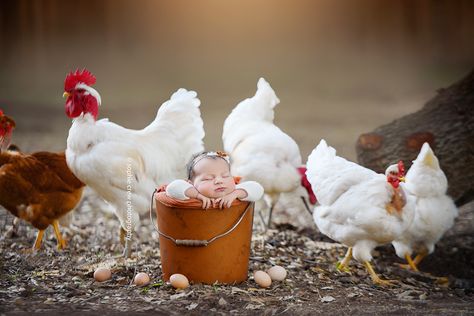 Girl Posed, 3 Month Old Baby Pictures, Outdoor Newborn Photography, Studio Baby Photography, Farm Photos, Family Photos With Baby, Foto Newborn, Monthly Baby Pictures, Farm Photography