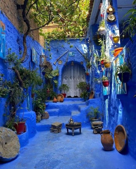 Blue Village Morocco, Blue Potion Aesthetic, The Blue City Morocco, Blue City Morocco, Arab Architecture, Morocco Photography, Majorelle Blue, Moroccan Garden, Moroccan Houses