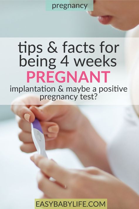 Pregnancy Weeks And Months, Conceive Pregnancy, Embryo Implantation, 4 Weeks Pregnant, Pregnancy Weeks, Pregnancy Test Results, Trying For A Baby, First Trimester Pregnancy, Pregnancy Checklist