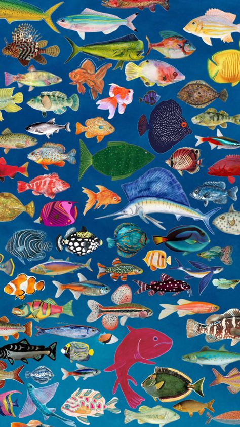 #fish #collage #aesthetic #paintedfish #ocean #sea Fish Collage, Cocoppa Wallpaper, 강아지 그림, Keramik Design, Jairzinho, Art Collage Wall, Doja Cat, Funky Art, Art Plastique