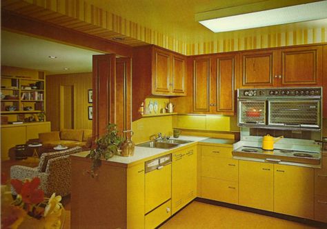 seventies decor - yellow!!! The three color in the 70s were Harvest Gold (this yellow), Avocado Green, and Burnt Orange. My Mom's kitchen was Harvest Gold because she hated the green and orange. Architectural Digest Kitchen, 70s Kitchen, 1970s Kitchen, 70s House, 70s Interior, 1970s Decor, Retro Interior Design, 70s Home, Living Vintage