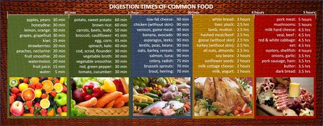 digestion times for common food Digestion Time Of Foods, Food Digestion Time Chart, Protein On The Go, Food Digestion, Easy To Digest Foods, Food For Digestion, Low Fat Cheese, Cleanse Diet, Tossed Salad