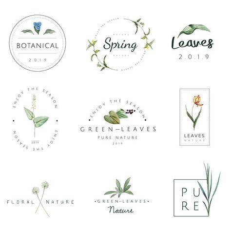 Más de 3 millones de vectores gratis, PSD, fotos e iconos gratis. Todos los recursos gratuitos exclusivos que necesitas para tus proyectos Herb Logo Design, Herb Logo, Spring Logo, Plant Logo, Logo Nature, Plant Logos, Nature Logo Design, Organic Logo, Framed Botanicals