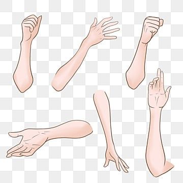 Hand And Arm Drawing Reference, Hand On Arm Reference, Body Posture Reference, Png Vtuber Base, Arm Base Drawing, Anime Arms Reference, Hand And Arm Drawing, Hand Grabbing Shirt Reference, Arm Poses Drawing