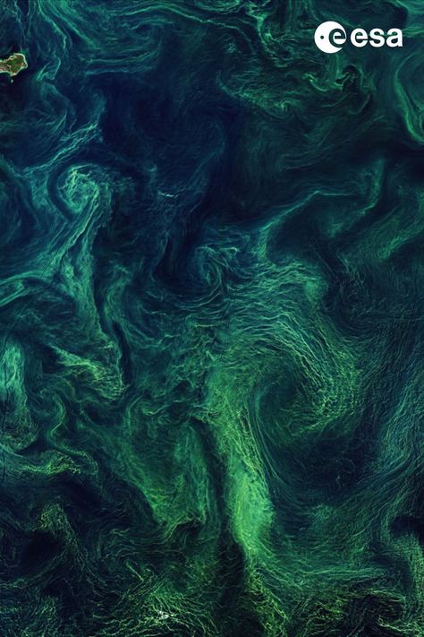 Ocean scenes from space Microscopic Algae, Marine Plants, Ocean Day, Green Algae, Earth From Space, Dream Holiday, Baltic Sea, Late Summer, Travel Around