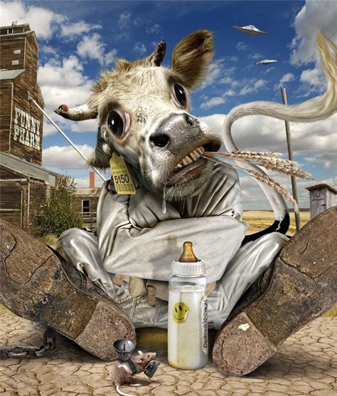 mad cow Surreal Animals, Chopped Beef, Pbr Bull Riding, Mad Cow, Old Western Towns, Photo Montage, Amazing Artwork, Bull Riding, Elephant Art