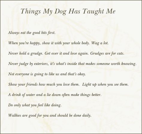 Lessons From A Dog, Dogs Are Best Friends Quotes, Quotes About My Dog, Quotes About Loving Dogs, Dog Therapy Quotes, Dog Sick Quotes, My Dog Quotes Love, Rehoming Dog Quotes, Dog Healing Quotes