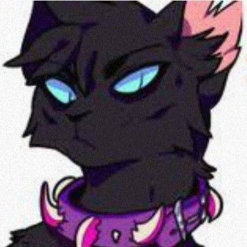 Warrior Cats Pfp, Warrior Cats Scourge, Cats Pfp, Warrior Cat Memes, Warrior Cats Comics, Future Wallpaper, Warrior Cats Art, Feral Cats, Warrior Cat