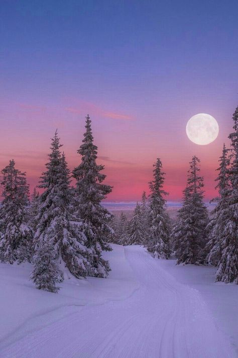 Scenery Winter, Post Wallpaper, Winter Landscape Photography, Pictures Winter, Winter Moon, Winter Landscape Painting, Christmas Scenery, Winter Szenen, Winter Background