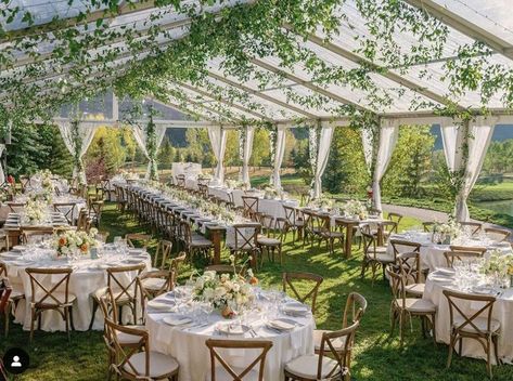 Houston Wedding Venues, 2026 Wedding, Seed Photography, Small Garden Wedding, Outdoor Tent Wedding, Tent Ideas, Hermann Park, Vows Wedding, Garden Wedding Reception