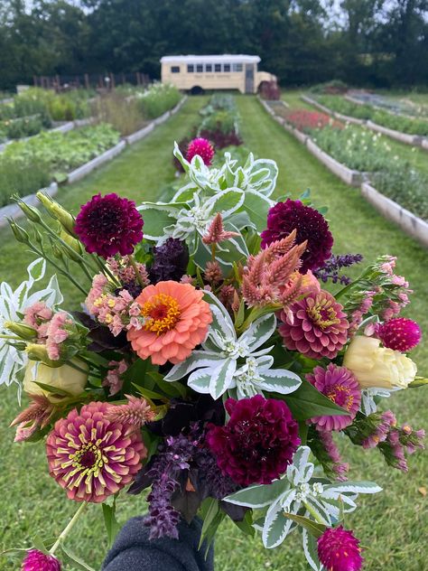 How Many Flowers Should I Grow on My Farm? — Lynsey Taulbee Flower Farm Planning, Flower Farm Ideas, Roadside Flower Stand Ideas, U Pick Flower Farm Ideas, Flower Farm Aesthetic, Flower Farms, Flower Farm Names, Cut Flower Farm Layout, Flower Farm Name Ideas