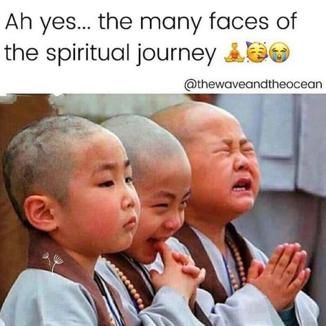 Funny Spiritual Memes, Spiritual Wisdom, Spiritual Journey, Bones Funny, Spiritual Awakening, Funny Facts, Spiritual Quotes, Funny Photos, Really Funny