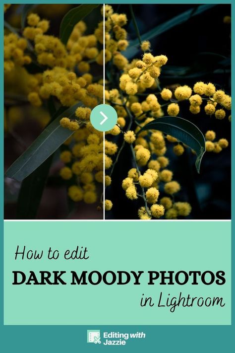 Dark Moody Edit, Lightroom, Photography Moody Photos, Cloud Tutorial, Lightroom Editing Tutorials, Moody Photography, Dark And Moody, Simple Look, Photo Stands, Rule Of Thirds, Photography Tips For Beginners