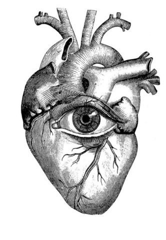 The Human Heart, Heart Anatomy, Heart Sketch, Heart Drawing, Desenho Tattoo, Chest Piece, Anatomical Heart, Human Heart, Ink Sketch