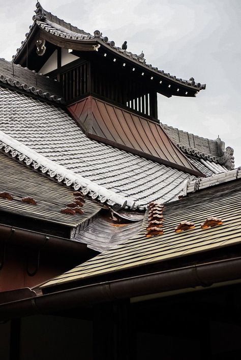 Japanese Rooftop Japanese Rooftop, Japan Architecture, Japanese Aesthetic, Sydney Opera House, The Live, Roof, Breaking News, Entertainment, Japan