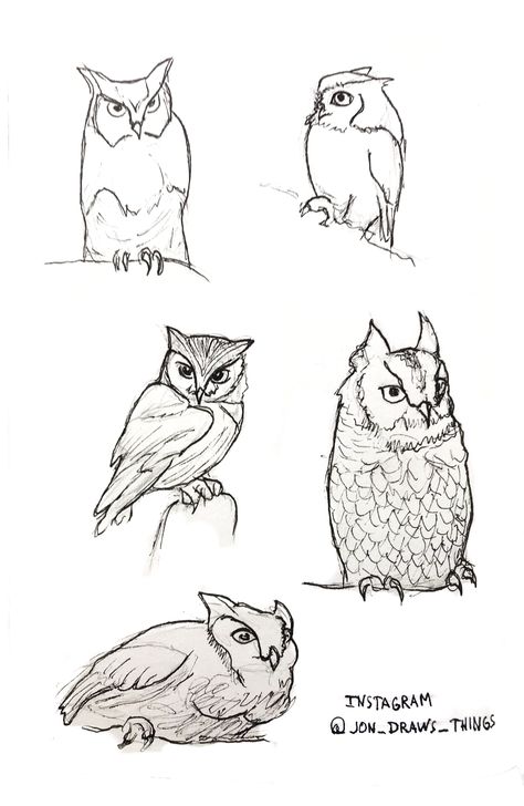 Eastern Screech Owl Drawing, Owl Drawing Reference, Screech Owl Drawing, Owl Drawing Sketches, Long Dark Hair With Bangs, Dark Hair With Bangs, Ideas For Haircuts, Pose Library, Long Hairstyles With Bangs