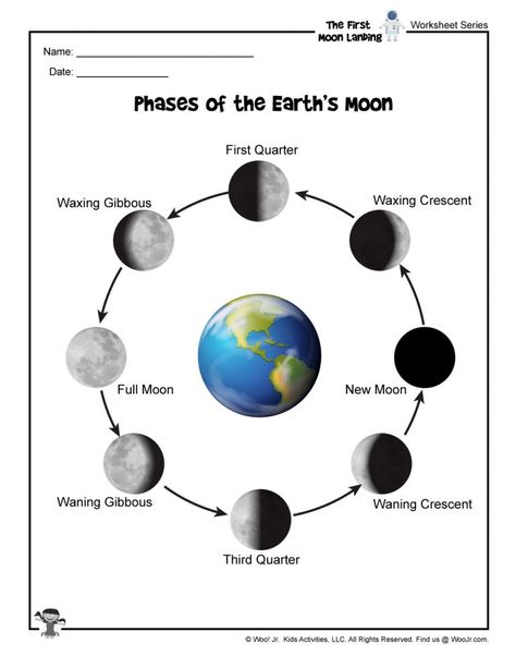 Why is the moon landing still important today? The science from all of the Apollo missions continues to benefit us, including the first use of images of Earth from space to see weather patterns and the adaptation of space tech for medical and other uses, like athletic shoes and water filtration. The Apollo missions proved that space exploration was possible, and NASA is currently work Moon Phases For Kids, Phases Of The Moon Worksheet, Moon Phases Worksheet, Moon Worksheet, Moon For Kids, Solar System Worksheets, Moon Science, Moon Activities, About Moon