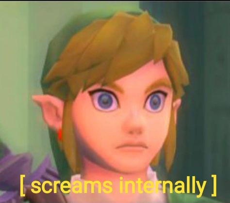 Link Funny Face, Link Reaction Pic, Zelda Reaction Pics, Linked Universe, Funny Links, Link Meme, Legend Of Zelda Memes, Botw Zelda, Shocked Face