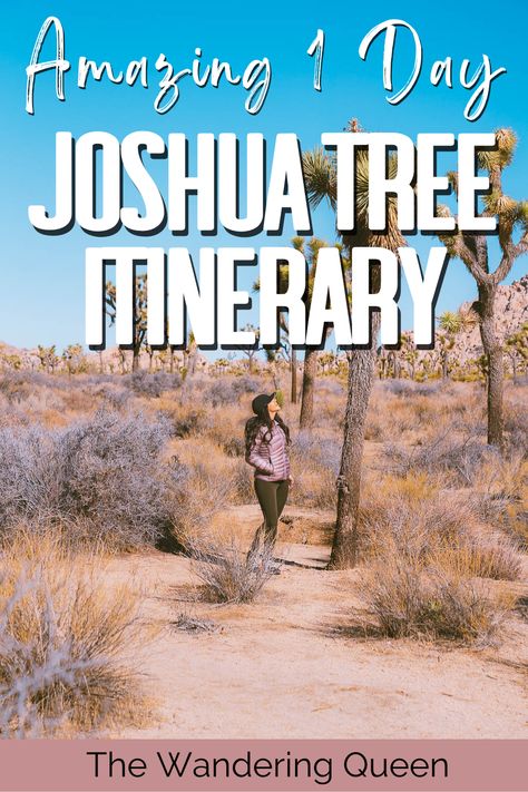 The Ultimate Day Trip to Joshua Tree National Park - The Wandering Queen California Places To Visit, Pacific Coast Road Trip, Petrified Forest National Park, Canyonlands National Park, Kings Canyon, National Parks Usa, Sequoia National Park, National Parks Trip, Joshua Tree National Park