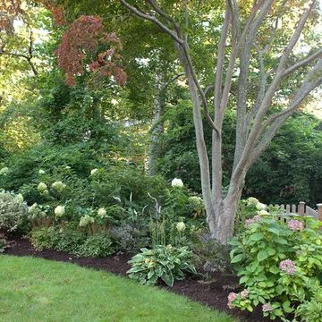 Dogwood Tree | Houzz Dogwood Tree Landscaping, Corner Landscaping, Tree Landscaping, Front Yard Landscaping Pictures, Small Yard Landscaping, Dogwood Tree, Landscaping Design Ideas, Hillside Landscaping, Dogwood Trees