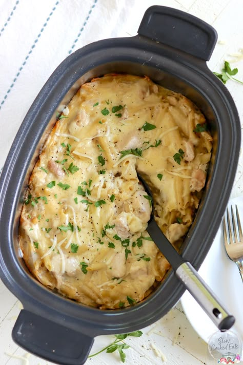 Creamy cheese crock pot chicken alfredo is the perfect weeknight dinner recipe! A super simple way to make crockpot chicken alfredo using jarred sauce, uncooked pasta, fresh chicken, and cheese (of course). Chicken Alfredo With Jar Sauce, Chicken Alfrado, Alfredo Crockpot, Crock Pot Chicken Alfredo, Crockpot Chicken Alfredo, Chicken Panini Recipes, Panini Recipes Chicken, Crockpot Recipes Ground Beef, Chicken Breast Crockpot