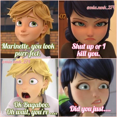 Catnoir And Ladybug, Mlb Comics, Miraculous Ladybug Oc, Miraculous Ladybug Memes, Miraculous Ladybug Wallpaper, Miraculous Ladybug Fanfiction, Marinette And Adrien, Miraculous Characters, Funny Meems