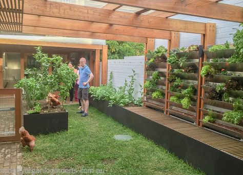 Verticle Vegetable Garden, Vertical Vegetable Garden Design, Vertical Vegetable Gardens, Gutter Garden, Vegetable Garden Tips, Vertical Vegetable Garden, Small Vegetable Gardens, Vegetable Garden Planning, Garden Courtyard