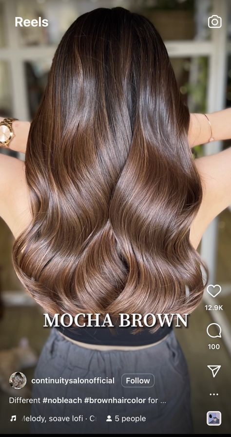 Mocha Brown Hair Color, Brunette Tones, Mocha Brown Hair, Balayage Styles, Mocha Color Hair, Spring Hair Color Trends, Brown Hair Trends, Mocha Hair, Brown Hair Looks