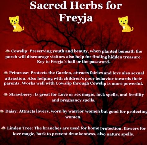 Working With Freya, Freyja Altar, Lady Freyja, Deity Work, Goddess Freya, Witchcraft Tips, Norse Paganism, Freya Goddess, Pagan Beliefs