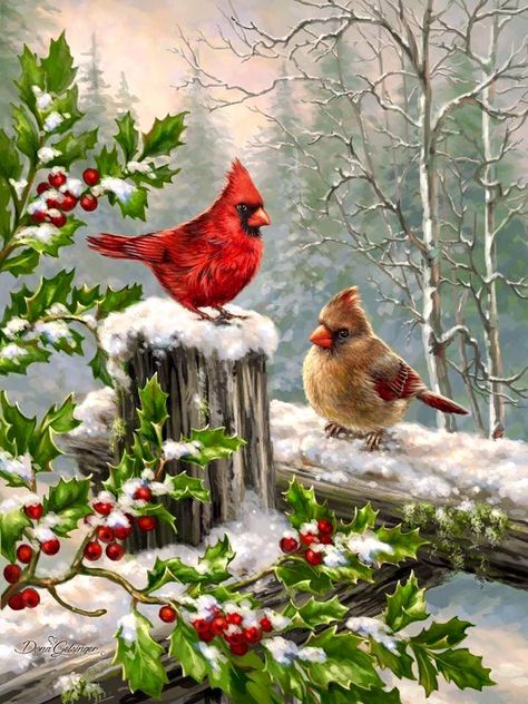 Beautiful Merry Christams, Christmas Cardinals, Winter Bird, Christmas Bird, Two Birds, Christmas Scenes, Bird Pictures, Red Birds, Vintage Christmas Cards