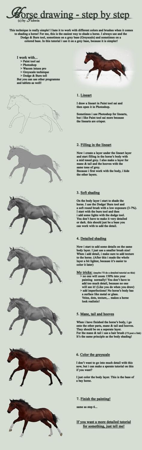 Horse Digital Art Tutorial, Horse Shading Tutorial, Horse Shading, Anatomy Help, Horse Drawing Tutorial, Horse Reference, Painting Horse, Drawing Help, Horse Anatomy