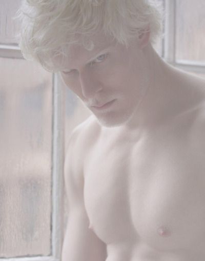 Albino Man. Albino Model, Stephen Thompson, Belle Blonde, Ange Demon, White Hair, Character Inspiration, Pretty People, Beautiful People, A Man