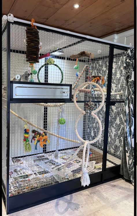 Indoor Aviary Ideas, Macaw Cage, Bird Room, Budgie Cage, Diy Bird Cage, Bird Cage Design, Bird Trap, Diy Bird Toys, Pet Bird Cage