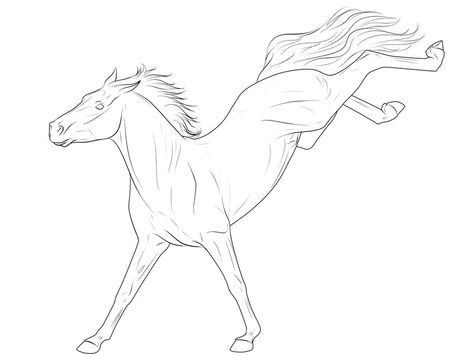 Horse Drawings Outline, Horse Bucking Drawing, Cute Horse Drawing, Line Art Horse, Drawing A Horse, Horse Lineart, Horse Line Art, Horse Drawing Tutorial, Horse Outline