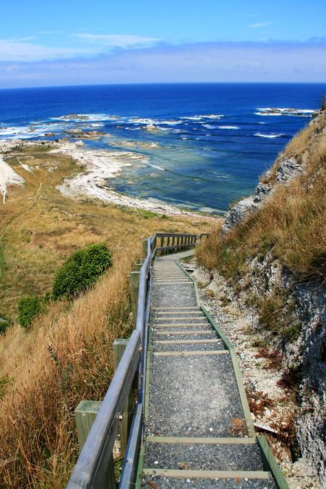 New Zealand Travel Inspiration - Kaikoura, Canterbury, South Island, New Zealand ~ New Zealand Surfing, Kaikoura New Zealand, Aesthetic New Zealand, Nz South Island, New Zealand Landscape, New Zealand Houses, New Zealand South Island, New Zealand Travel, White Cloud