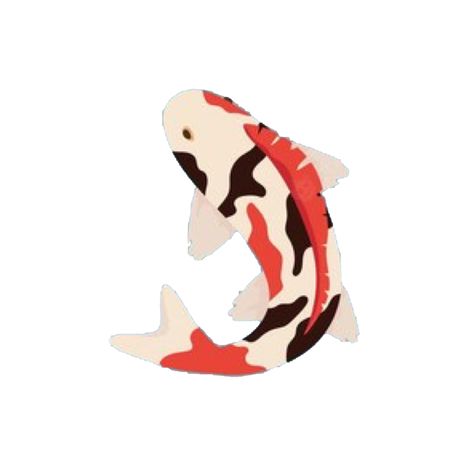 Koi Fish App Icon, Koi Widget, Koi Fish Widget, Koi Fish Pfp, Widget Icon Png, Koi Fish Icon, Wallpaper Koi Fish, Fish Pfp, Pond Lily