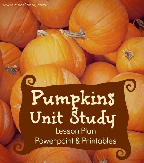 Pumpkin Lessons, Pumpkins Preschool, Pumpkin Unit, Fall Science, Fall Lesson Plans, Homeschool Holidays, Unit Studies Homeschool, October Ideas, Preschool Units