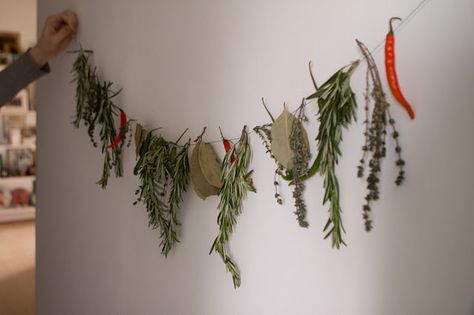 Dries Fruit Garland, Dried Chillies Hanging, Dried Fruit And Fabric Garland, Dried Fruit Christmas Garland, Herb Christmas Wreath, Homemade Xmas Decorations, Homemade Christmas Presents, Wreath Wall Art, Christmas Interiors