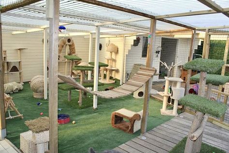 Cat Room Decor, Cat Patio, Cat Hotel, Cat Houses, Outdoor Cat Enclosure, Cat House Diy, Cat Run, Pet Resort, Pet Enclosure