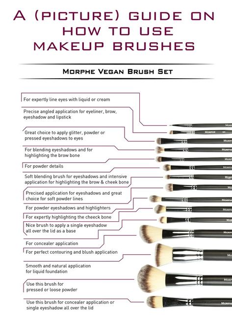 Make Up Guide, Makeup Brush Uses, How To Use Makeup, Brush Guide, Makeup Brushes Guide, Makeup Tip, Make Up Brush, Make Up Brushes, Makeup Guide