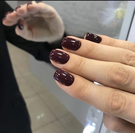 Short Gel Nails Dark Colors, Short Fall Nails 2024 Trends, Plum Gel Nails, Fall Nails Burgundy, Gel Shellac Nails, Nails Burgundy, Quartz Nails, Maroon Nails, Nude Nail Designs