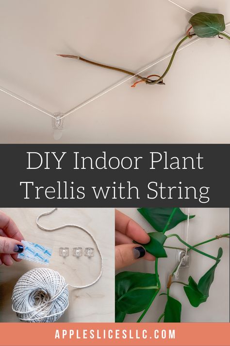 Indoor Plant Wall Trellis, Indoor Pothos Trellis, Diy Trellis Indoor, Pathos Wall Climbing Ideas, Pathos Plant Trellis, Trellis Ideas Indoor Plants, Diy Indoor Plant Trellis Ideas, Indoor Trellis Wall, Diy Indoor Trellis Ideas