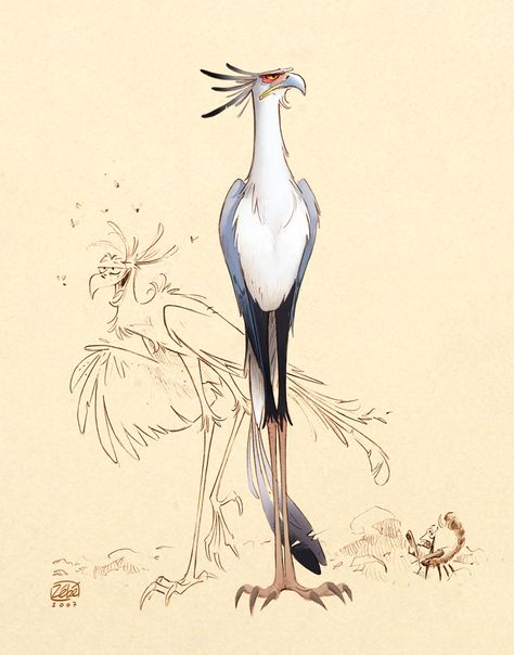 Bird Character Design Concept Art, Bird Creature Design, Bird Character Art, Bird Character Design, Bird Character, Cartoon Bird, Bird People, Cartoon Birds, Art Mignon