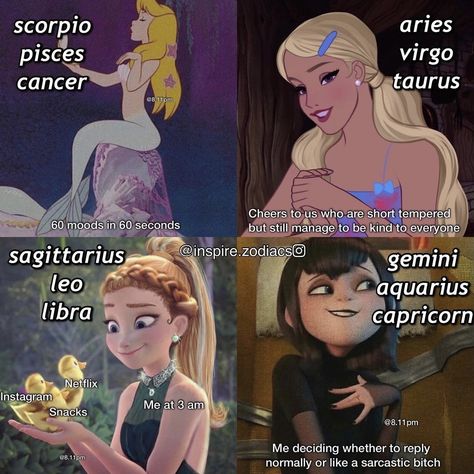 Zodiac Signs Funny Capricorn, Zodiac Signs Capricorn And Gemini, Relatable Zodiac Signs, Anime Zodiac Aquarius, Libra Zodiac Facts Funny, Zodiac Stuff Funny, Funny Zodiac Signs Pictures, Zodiac Sign Things, Random Zodiac Facts