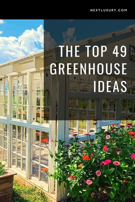 Having a greenhouse can help you develop your green thumb by lengthening your growing season beyond what’s possible when growing outside. To get the most out of your greenhouse gardening, you need to have the right type of structure. This means finding the right design that fits your property, your growing needs, and the climate in which you live. #nextluxury #greenhouse #greenhousegardening #landscapingdesign #greenhousedesignideas Green House Lighting, Greenhouse Interior Ideas Inspiration, Diy Hothouse Green Houses, Green House Design Ideas, Landscaping Around Greenhouse, Green House Shelving Ideas, Green House Ideas Diy Cheap, Greenhouse Gardening Layout, Greenhouse Inside Ideas