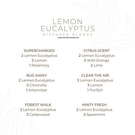 Be sure to save this one! What do you do with Lemon Eucalyptus? Find more info and diffuser blends at www.essentialseveryday.com Lemon Eucalyptus: free with your 125pv Loyatly Order in February Eucalyptus Blends, Lemon Eucalyptus Diffuser Blends, Eucalyptus Diffuser Blends, February Diffuser Blends, Eucalyptus Essential Oil Blends, Young Living Diffuser Recipes, Best Smelling Essential Oils, Essential Oil Inhaler, Essential Oil Perfumes Recipes