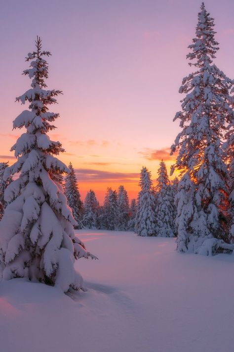 Winter Sunset, Winter Nature, Pretty Landscapes, Winter Wallpaper, Winter Scenery, Winter Beauty, Winter Pictures, Winter Wonder, Winter Aesthetic