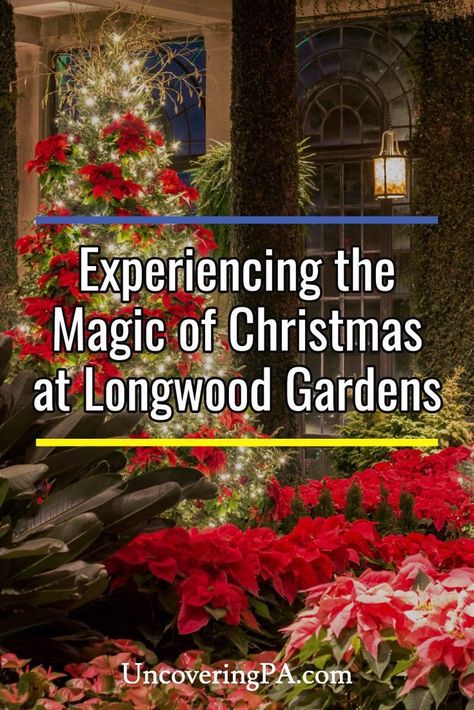 Experiencing the Magic of Christmas at Longwood Gardens in Kennett Square, Pennsylvania via @UncoveringPA Longwood Gardens Christmas, Philadelphia Magic Gardens, Kennett Square Pa, Pennsylvania Travel, Longwood Gardens, Modern Garden Design, Heart To Heart, Garden Quotes, Holiday Events